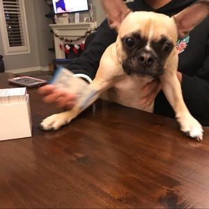 Meet your Posher, Nancy